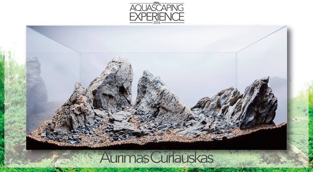 aquascaping event hardscape challenge