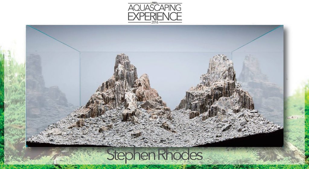 aquascaping event hardscape