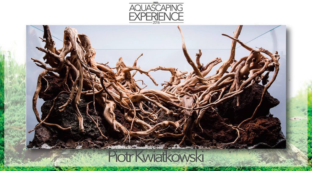 aquascaping event hardscape challenge