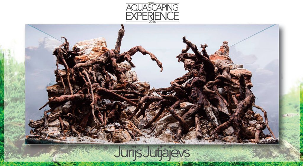 aquascaping event hardscape challenge