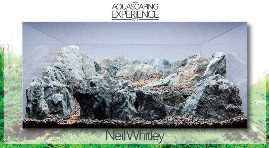 aquascaping event hardscape challenge