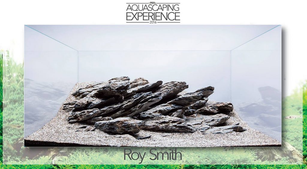 aquascaping event hardscape challenge