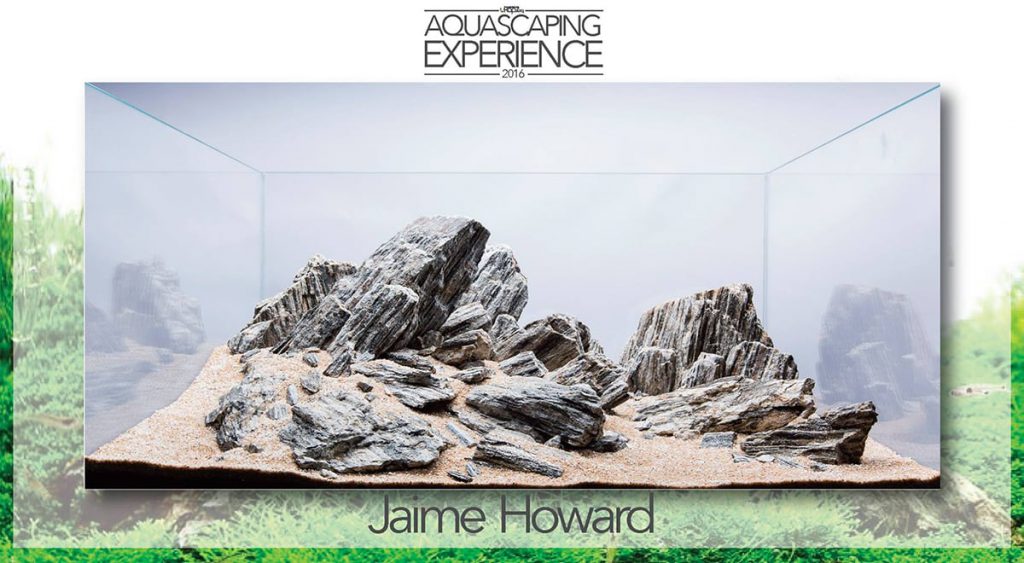 aquascaping event hardscape challenge