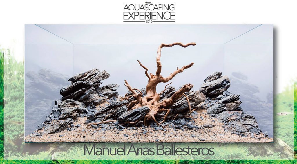 aquascaping event hardscape challenge