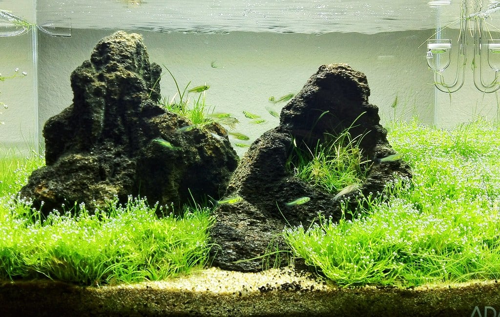 unzan-stones-aquascaping-rocks-1