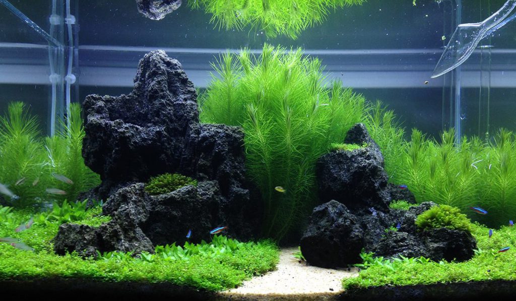 unzan-stones-aquascaping-rocks-2