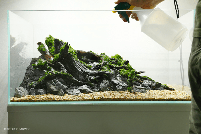 george farmer aquascaping interview