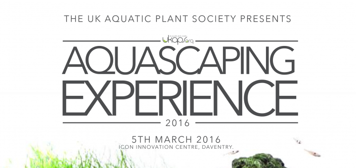 UKAPS Aquascaping Event Experience 2016